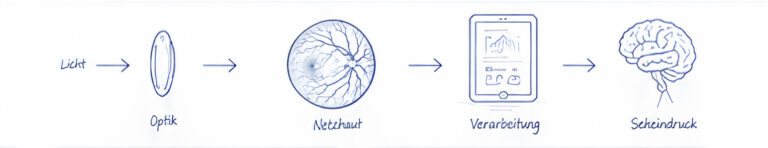 epitopDeepVisionSehProzess